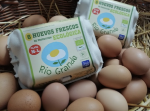 Huevos Eco 1/2 docena Río Grande