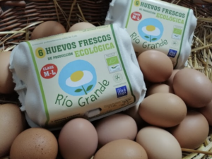 Huevos ecológicos Rio Grande
