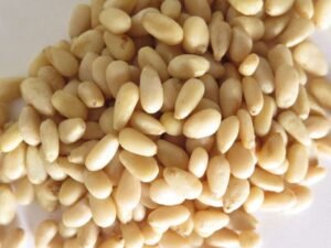 Piñón ecológico