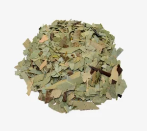 Eucalipto Hoja