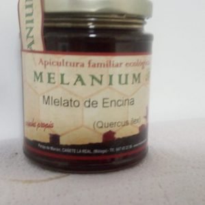 Miel Encina 500gr Melanium Miel Encina 500g Melanium