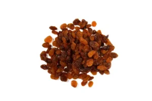 Pasa sultana bio