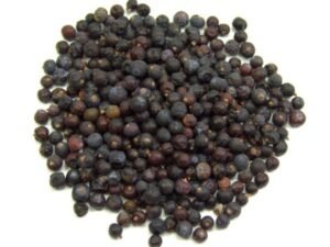 Enebro Bayas
