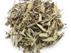 Salvia Hoja