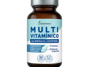 Multivitamínico 60comps Plameca